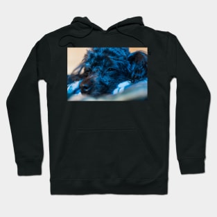 Blue Puppy Hoodie